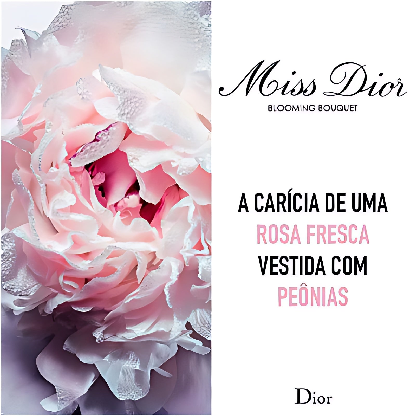 Christian Dior Miss Dior Blooming Bouquet Eau De Toilette Spray for Women, 3.4 Ounce.